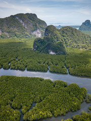 Aerial view of a huge natural mangrove forest with towering limestone cliffs (Phang Nga, Thailand)