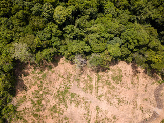 Aerial drone view of deforestation of a tropical rain forest to make way for palm oil and construction