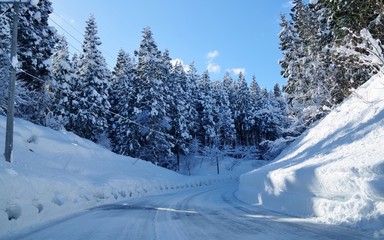 雪で真っ白の道路