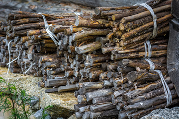 Firewood for the winter in the village