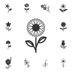 Flower icon. Detailed set of Flower illustrations. Premium quality graphic design icon. One of the collection icons for websites, web design, mobile app
