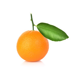 Orange on white background
