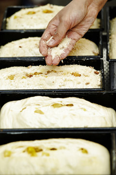 Bread dough in mold 