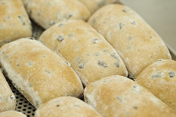 Bread at bakery 