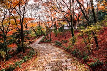 Obraz premium Jojakko-ji temple with autumn maple in Arashiyama, Kyoto, Japan