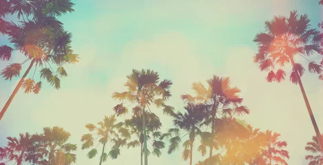 Zelfklevend Fotobehang Palmboom Vintage palmboom en blauwe lucht