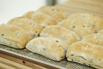 Chocolate chip bread 
