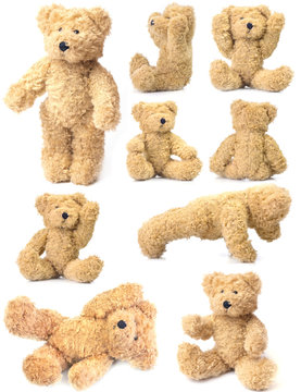Naklejka Teddy bear