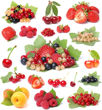  Collection berries