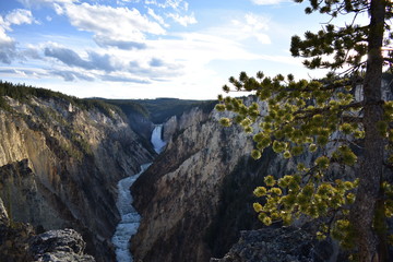 Roaring waterfall, Yellowstone National Park, Grand Canyon of the Yellowstone, Lower Falls, Wyoming
