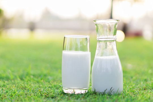 Closeup glass of milk and bottle on green grass nature background, food healthy concept