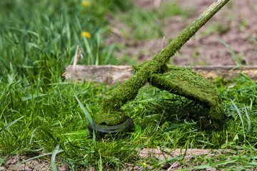 cutting grass in garden with the weed trimmer