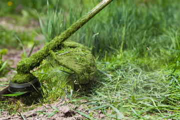 cutting grass in garden with the weed trimmer