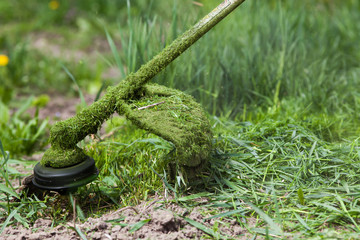 cutting grass in garden with the weed trimmer