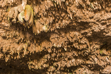 beautiful natural pool of crystal clear water formed in a rocky cave with stalagmites and stalagmites