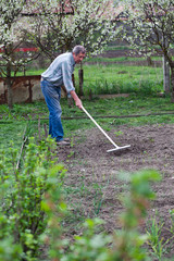 elderly man working in spring garden