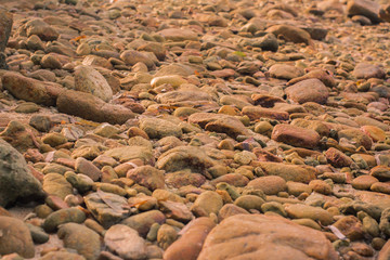 Fototapeta na wymiar Rocky background in beach Phuket Thailand