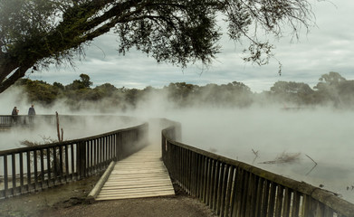 Naklejka premium Kuirau park in centre of Rotorua city, North Island of New Zealand, Geothermal area