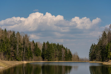 spring forest landscapes