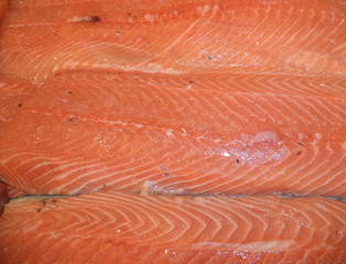 fresh salmon fillet