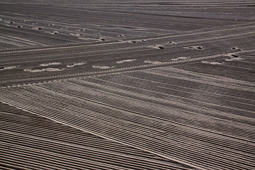 Traces of man on a clean sandy tractor on the Mediterranean Sea