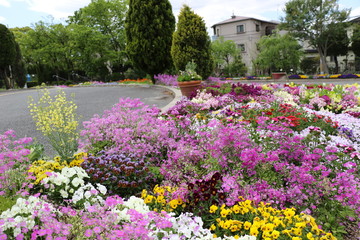 豊島公園入り口の花壇