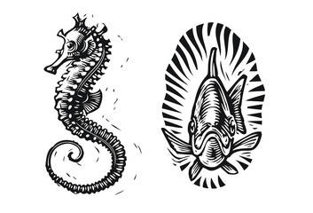 Seahorse and fish