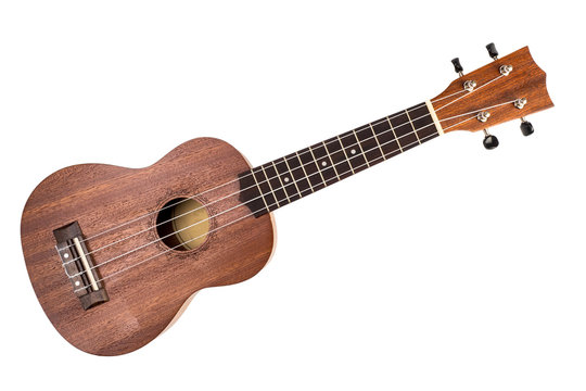 The brown ukulele on the white background