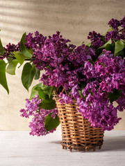 Still life with lilac