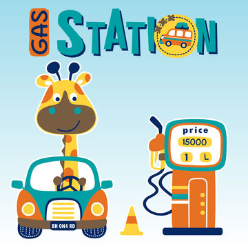 Funny giraffe on little car, filling gasoline, vector cartoon illustration