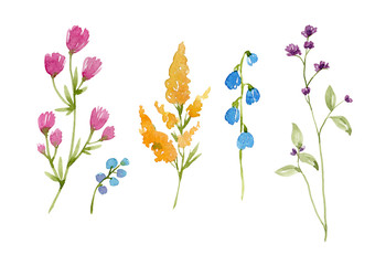 Watercolor floral set