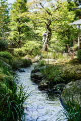 Traditional Japanese garden in Kyoto