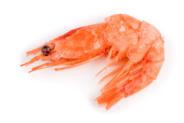 Red cooked prawn or shrimp isolated on white background