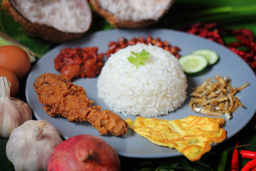 Asian food nasi lemak