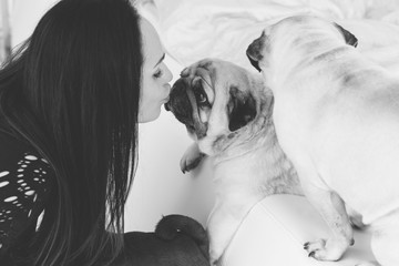 Woman in bedroom with funny pugs dogs. Pet pugs dog playing at home. Life of pets, concept of best...