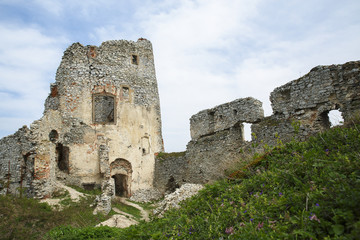 Fototapeta na wymiar Gymes castle