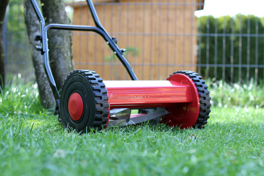 Rasenm&auml;her im Garten