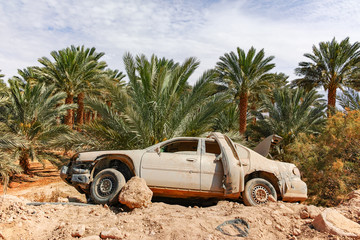 Abandoned dusted wreck of crashed passanger car near date palm tree plantation