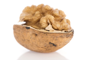 Walnut isolated over white background