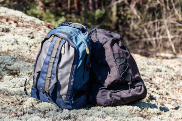 Two tourist backpacks on the glade in pine forest