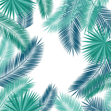 Summer background with tropical leaves and flowers. Floral elements for your design. Vector illustration.
