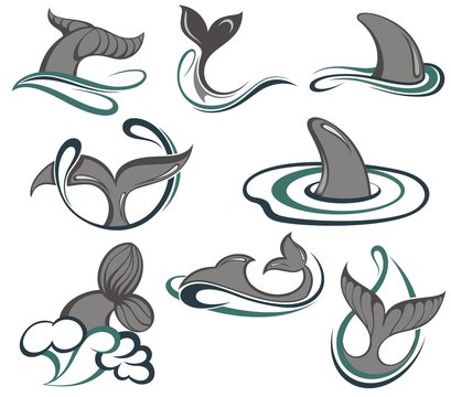 Collection with abstract symbols of whale and sea wave