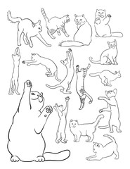 Cat line art. Vector, illustration. Good use for symbol, logo, web icon, coloring, mascot, sign, or any design you want.