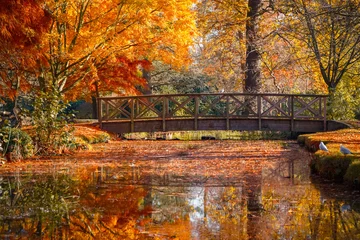 Deurstickers Herfst Houten brug in dichtbegroeid park met herfsttafereel