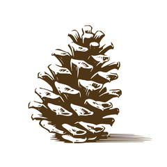 Pinecone