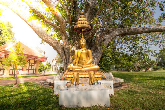 Buddha Sitting Under The Tree