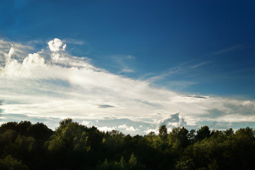 Natural sunset Sunrise over the forest