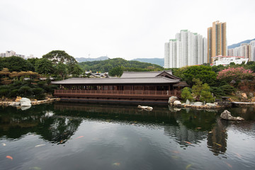 a big pond with koi fishes