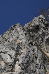 Fototapeta na wymiar Mountain rocks with blue sky in National Park Harz in Germany