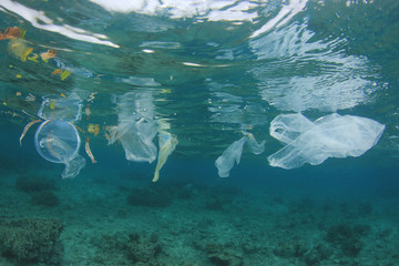 Plastic pollution in ocean